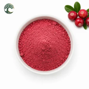 Premium Organic Cranberry Fruit Juice Powder Bulk