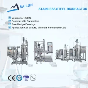 Lactobacillus Ferment Bioreactor