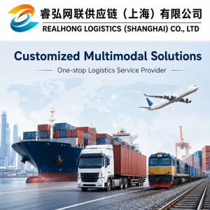 Professional Customized Logistics Provider