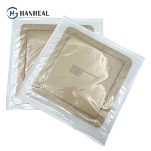 Sustained-Release Silver Antimicrobial Dressing Long-Lasting Infection and Optimal Moist Wound Healing