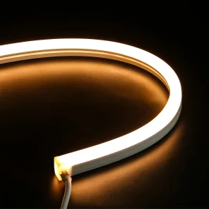 Led Neon Flex 12v 24v Strip Light IP67 Waterproof Swimming Pool Light
