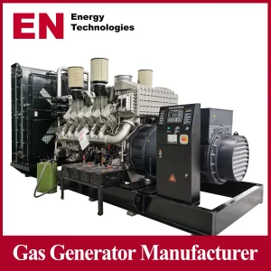 1MW/2MW/2.5MW/3MW Gas Generator Set