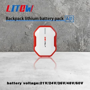 Ultimate High-Capacity Lithium Battery Pack for Global Travelers