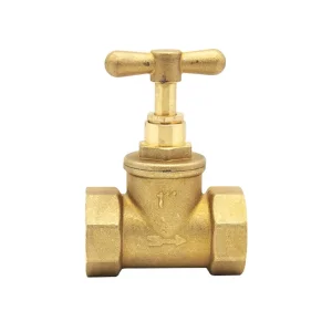 Premium Brass Globe Valve