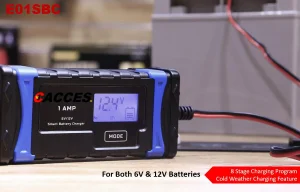 12V/24V 1AMP 8 Stages Maintainer