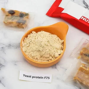 Food Grade Yeast Protein Supplement