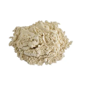 EU/USDA Organic Fava Bean Protein Powder High Quality Natural Health Benefit Plant Protein Supplement Food Additives