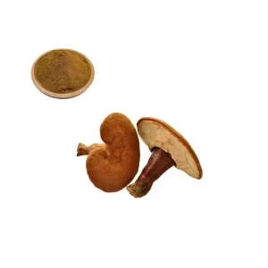 Best Natural Ganoderma Lucidum Polysaccharides