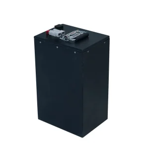 Customized Lithium Ion