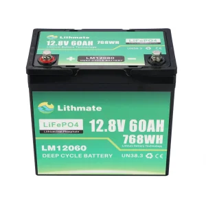OEM 12V 60Ah Battery for Camper