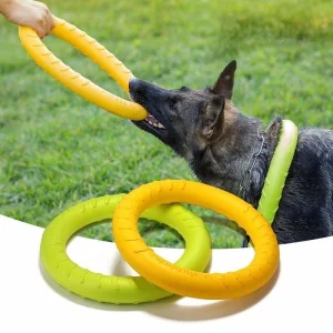 Eco-Friendly Modern Outdoor Training Floating EVA Dog Flying Disc