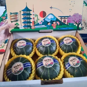 Infant Nutrition Pumpkin