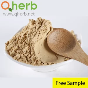 Notoginseng Extract