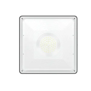 Canopy Light