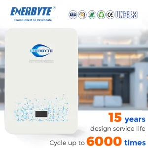 51.2V 100ah Lithium Solar Battery for The Solar Storage System