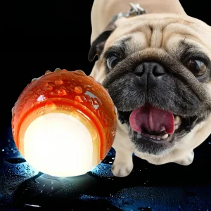 Custom Eco-Friendly Glow-in-the-Dark Dog Chew Toy
