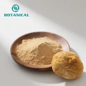 High-Quality Organic Hericium Erinaceus Powder
