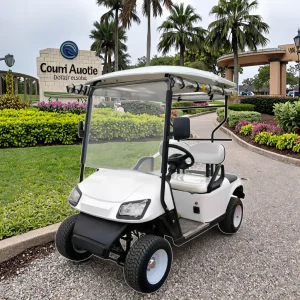 Manufacturer Wholesale Promotional Good Quality Prices 2 Seater Golf Cart Hot Selling Electric Golf Cart Meet the Demand