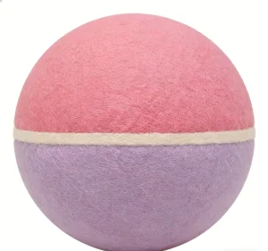 Bite Resistant Big Dog Toy
