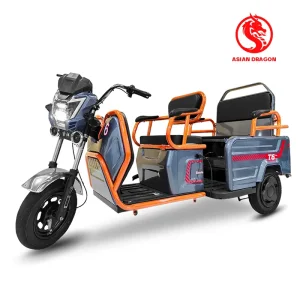 China Social Two-Seater Electric Trike