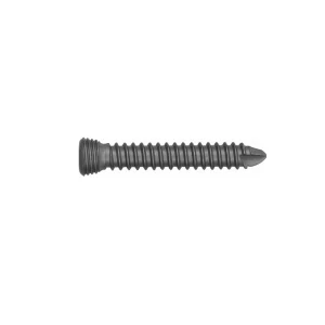 Locking Screw