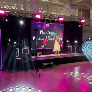 Indoor Rental LED Display Panels P2.9 P3.91 Full Color Digital Signage for Stage Backdrop LED