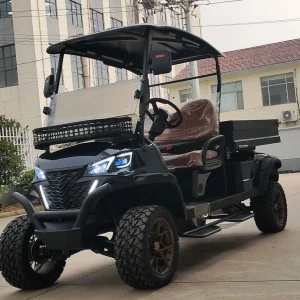 New Utility High Roof Golf Cart Electric CE Certified MOQ 1 Units Golf Carts with a Crate