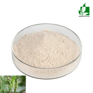 Psyllium Husk Powder