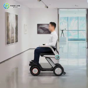 Wheelchair Robot