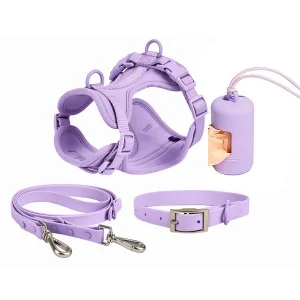 Fabricante de Coleira de Cão em Neoprene Macio com Guia Impressões Personalizadas Coleira de Luxo para Cães Guias Suprimentos para Animais de Estimação