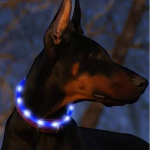 LED Glow Dog Collar