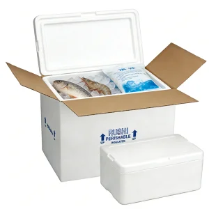 Custom Foam Insulated Shipping Box