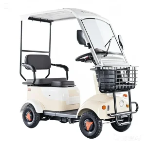 Waterproof Design Eco-Friendly and Energy-Efficient Community Security Patrol Mobile Photography Dune Buggy Electric Golf Cart