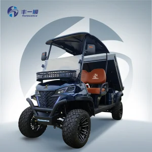 Low Speed Cargo Golf Cart