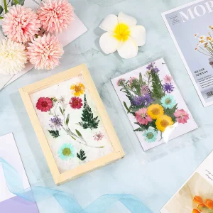 Dried Flower Paper Making Kit Craft Set