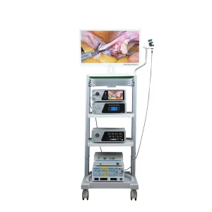 Endoscopic Solutions