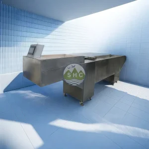 Stainless Steel Automatic Coffin Charging System for Cremation Machine Body Input