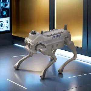 Stock Appearance Robot