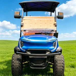 Carrito golf electrico