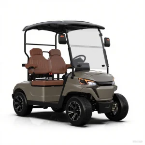OEM ODM 2 Seat Electric Golf Cart for Fleet Purchase and International Export