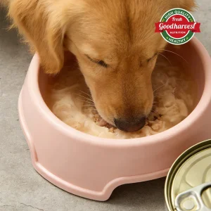 Wholesome Nutritious Chicken Wet Dog Food in Cans for Pet Feeding