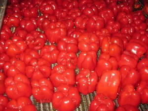 Pimiento rojo dulce en agua