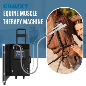 Equine and Pet Muscle Care Equipment Non-Invasive Veterinary Physical Therapy Machine