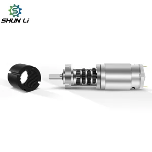Shunli Custom 6v 12v 24v Planetary Gear Motor Gearbox R40.0.24 Rd High Torque Dc Gear Motor Motor for Robot