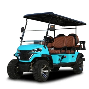 SHUNCHA 4 Seater 6 Seater LSV Street Legal DOT Certificate VIN Number Electric Golf Cart