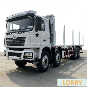 F3000 8X4 Lorry Flatbed New Lumber Wooden Logging Log New Heavy Duty Loading Van Tipping Cargo Logistics Truck