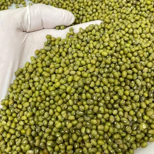 Premium Quality 50kg Dried Mung Beans High Protein Nutrient-Rich &amp; Versatile for Cooking Viet Fargimex