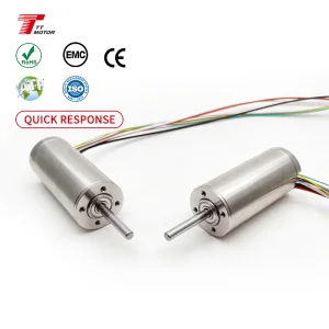 Coreless Motor 3067 Brushless Dc Motor Mini High Power Motor 12v 24v for Medical Apparatus