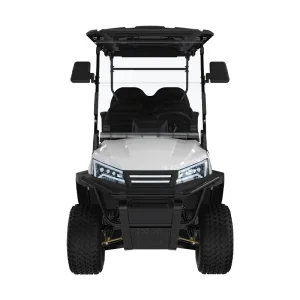 China Made White Electric Street-Legal Lsv Golf Cart