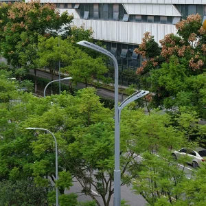 Solar LED Street Lighting with Galvanized Lighting Pole High Quality Moudle Lamp